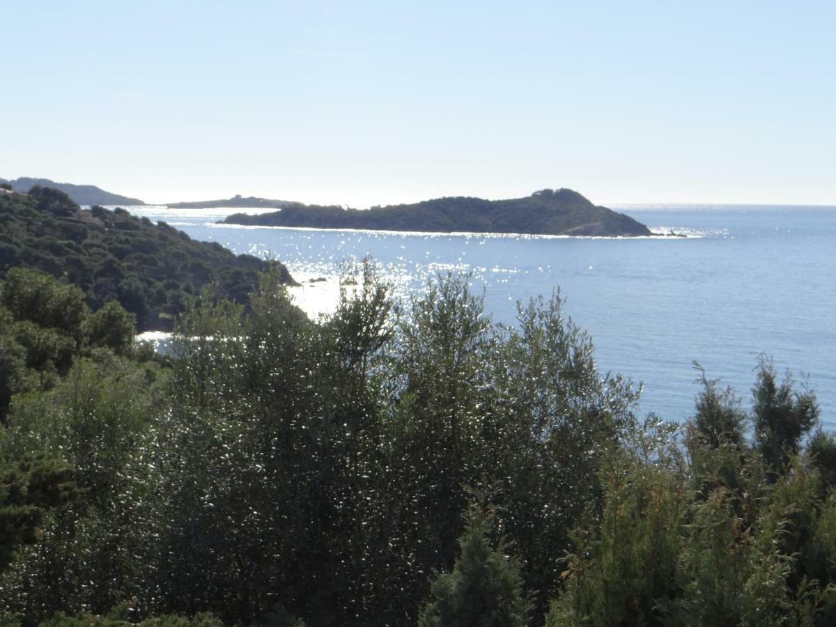 Appartement Vue Mer, Presqu'Il De Giens Hyères المظهر الخارجي الصورة